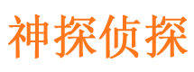 龙潭市调查公司